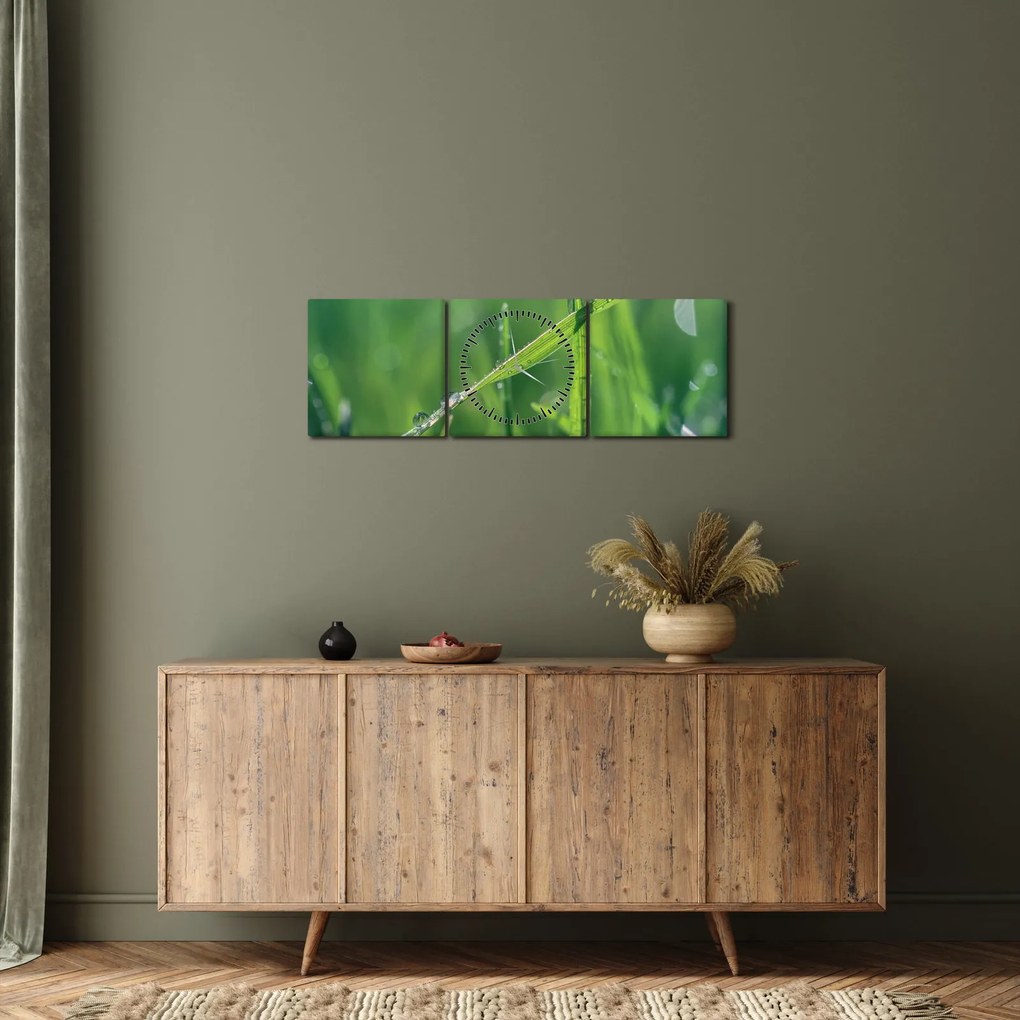 Obraz kropli rosy (z zegarem) (90x30 cm)