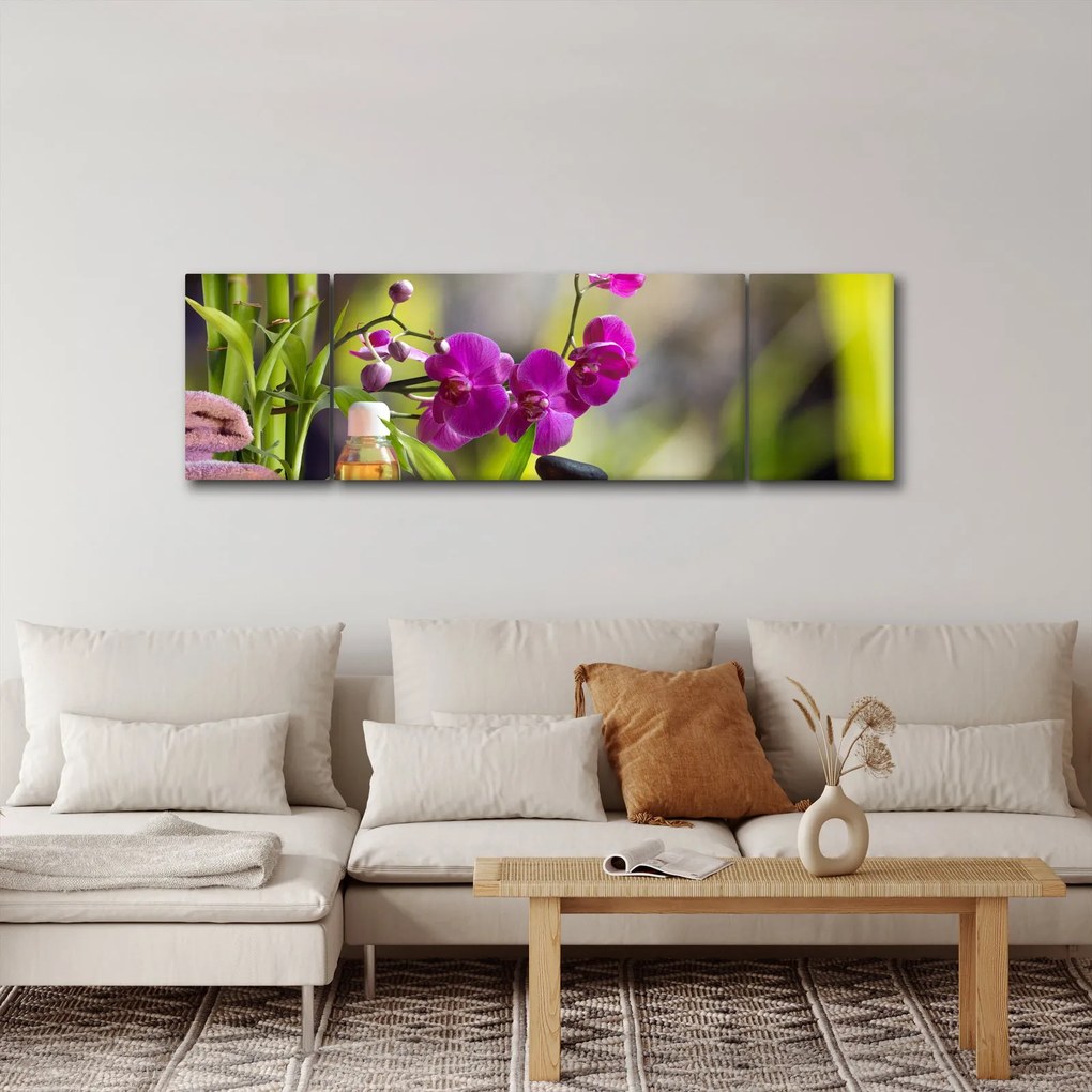 Obraz - spa and stones (170x50 cm)