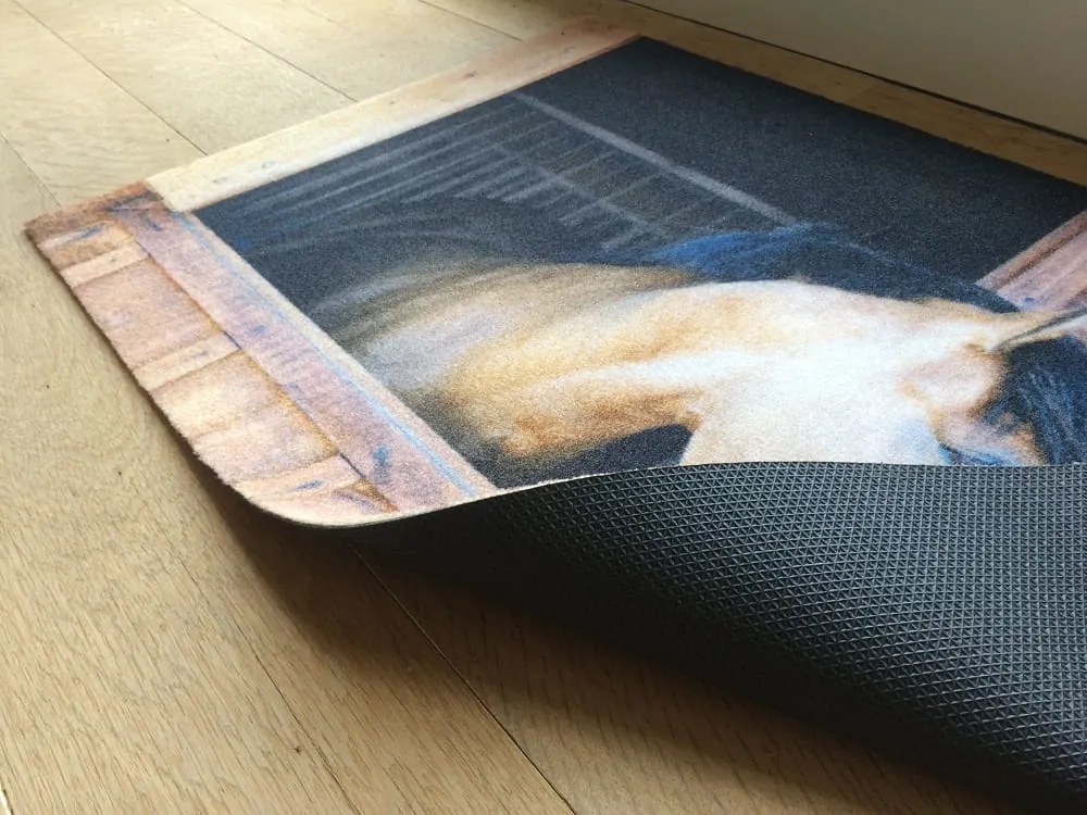 Wycieraczka Deco Star Konik 50 cm x 80 cm