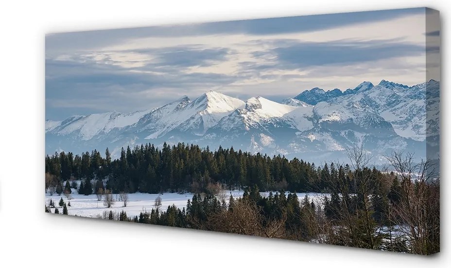 Zdjęcie na płótnie Góry Zimą w Śniegu