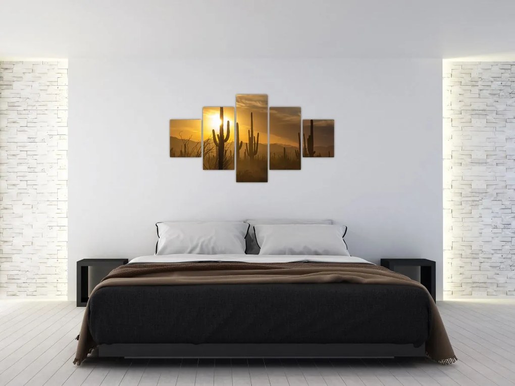 Obraz - Kaktusy Saguaro (125x70 cm)