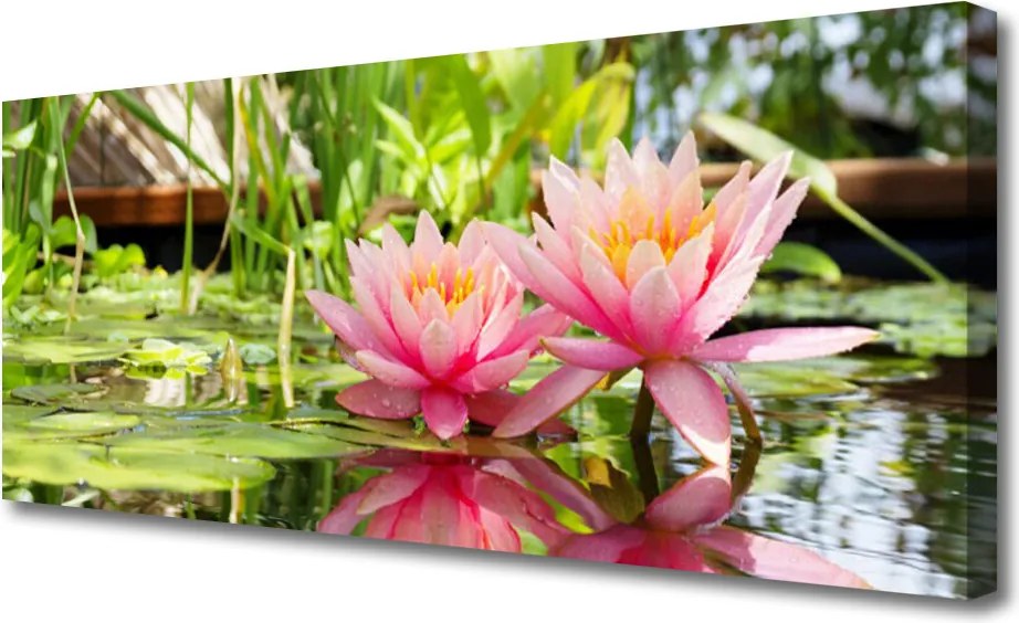 Obraz drukowany na płótnie Wykwintny Ogród Kwiatowy