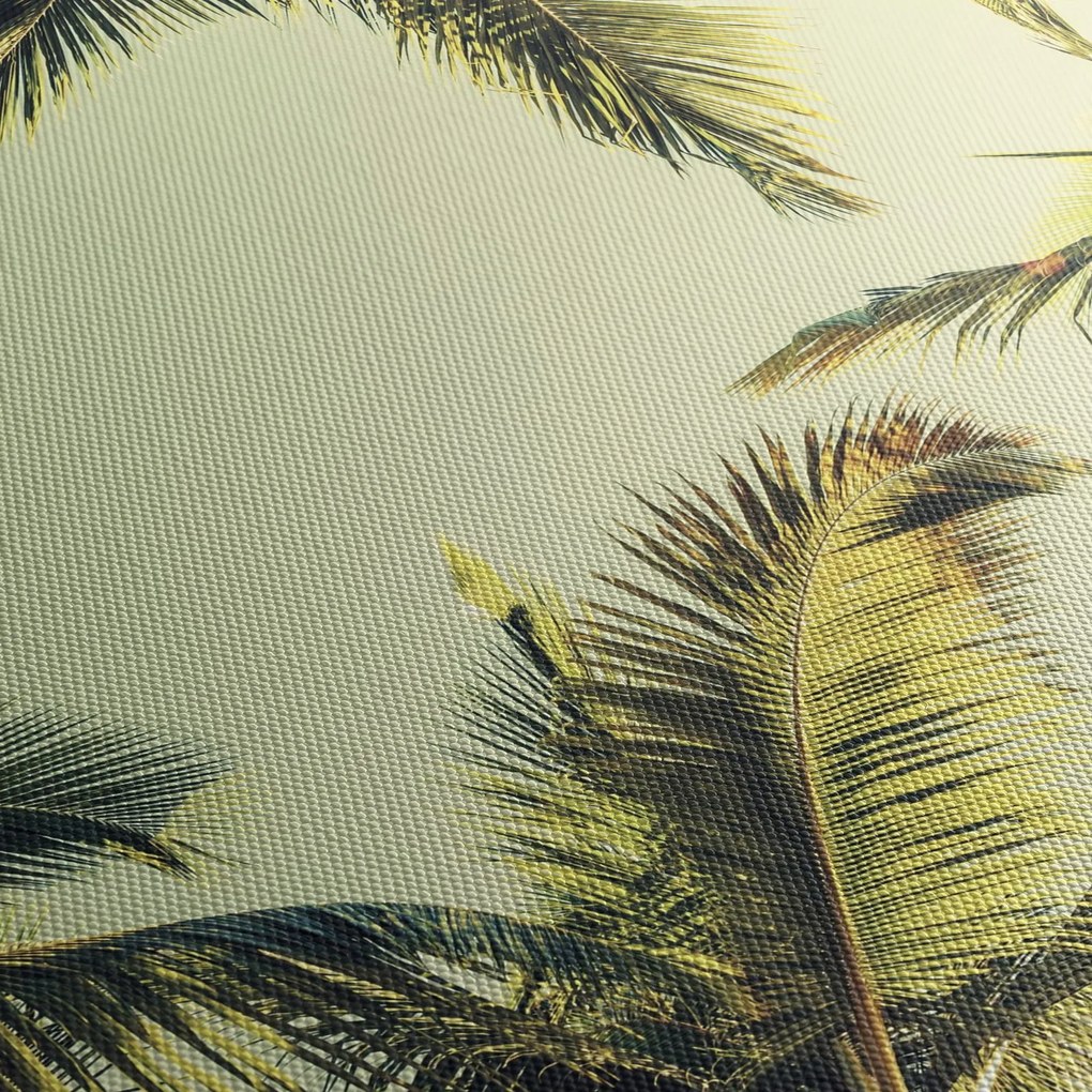 Obraz z palmami kokosowymi (170x50 cm)