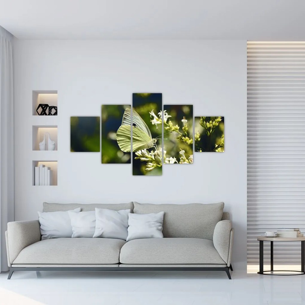 Obraz motyla (125x70 cm)