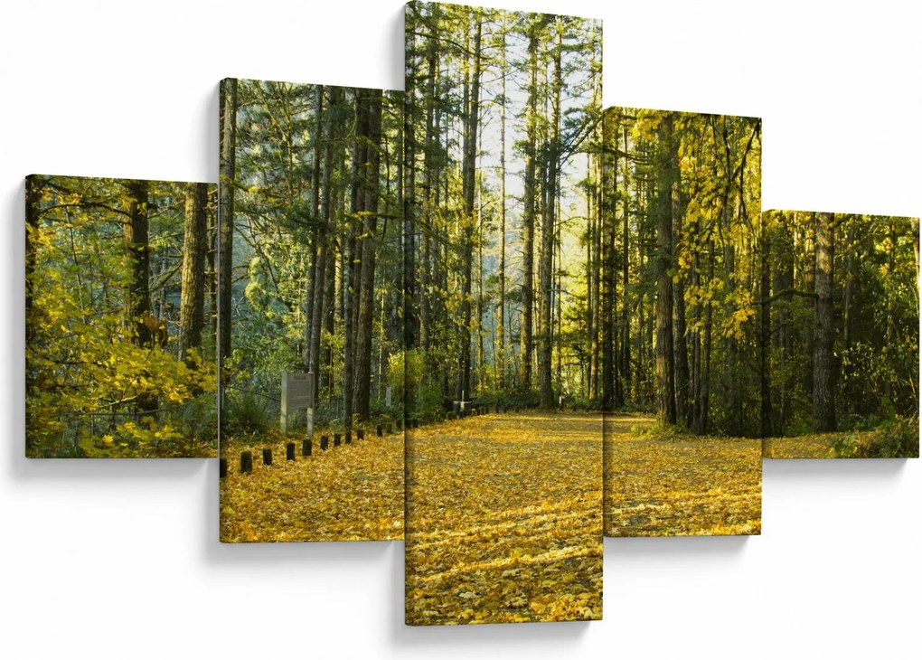 Obraz - las jesienią (125x70 cm)