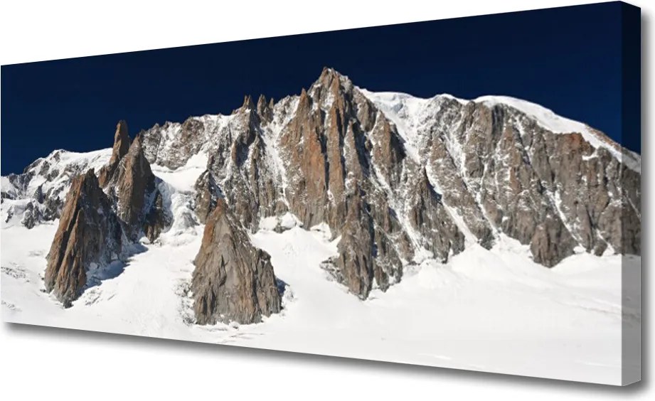 Obraz canvas Klasyczny Ogród Tulipanowy