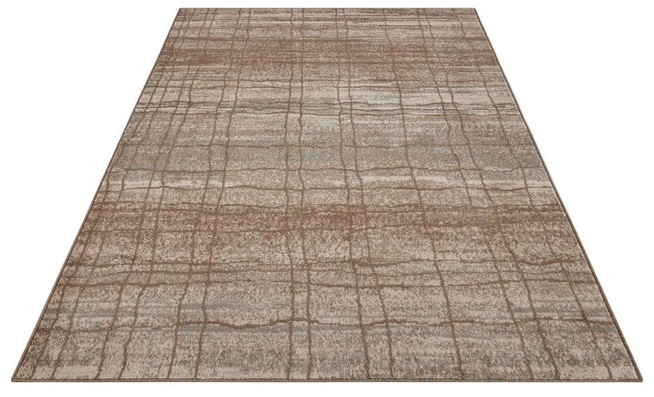 Brązowy/beżowy dywan 200x280 cm Terrain – Hanse Home