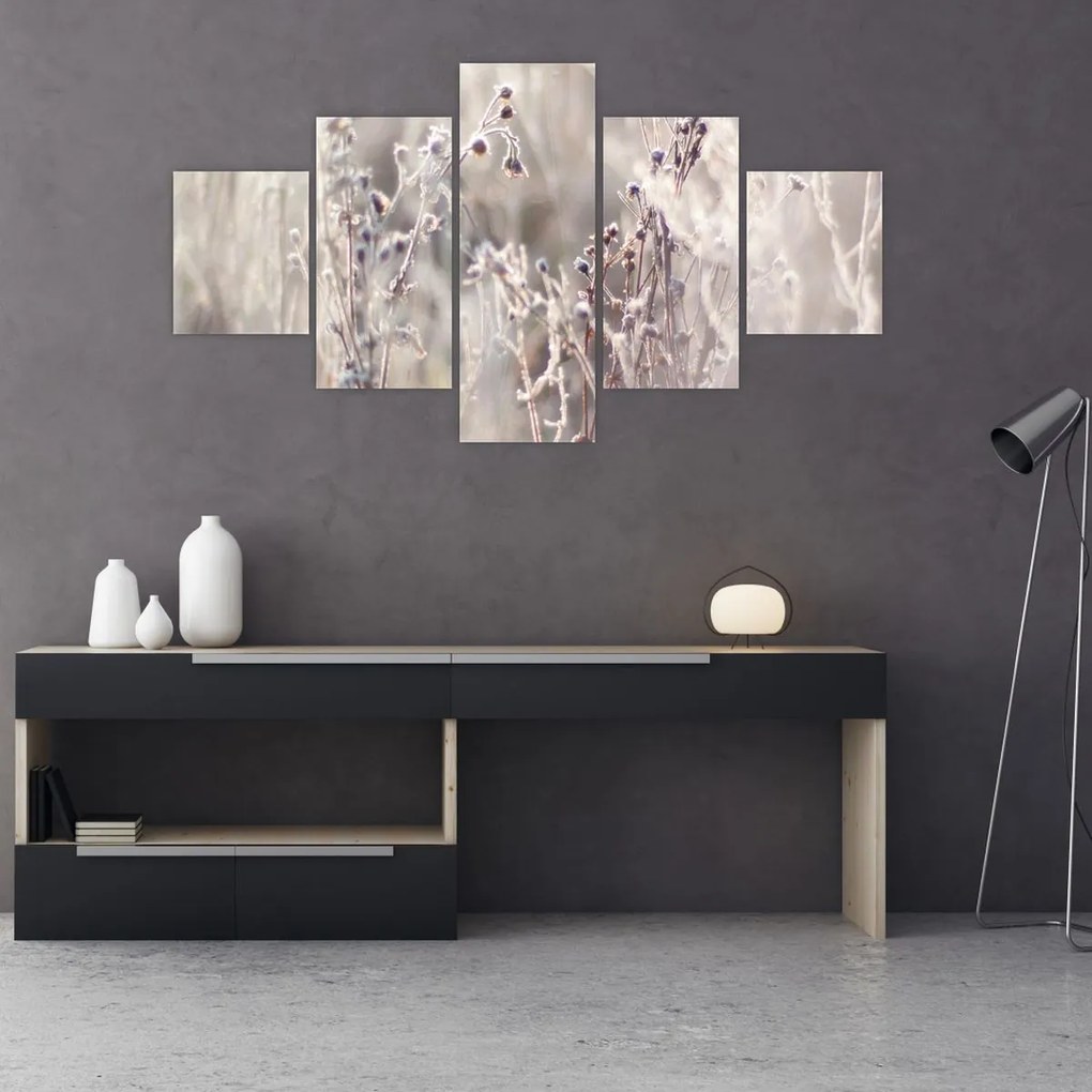 Obraz - Roślina (125x70 cm)