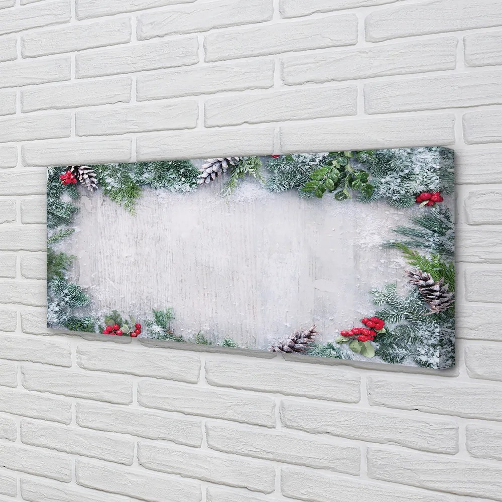 Fotoobraz na płótnie Śnieg, Szyszki i Gałązki