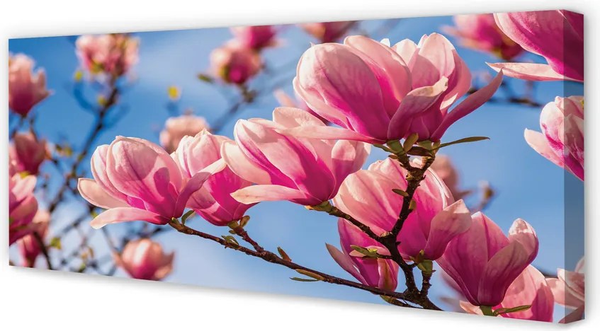 Zdjęcie na płótnie Kwitnące Drzewa