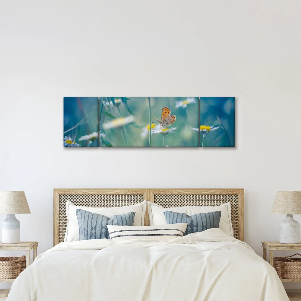 Obraz - Motyl na stokrotce (170x50 cm)