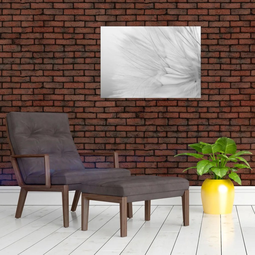 Obraz - Mniszek lekarski (70x50 cm)