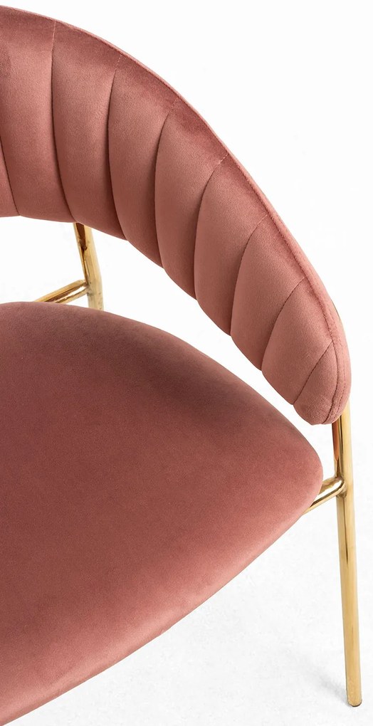 Krzeso Moniel Golden Velvet