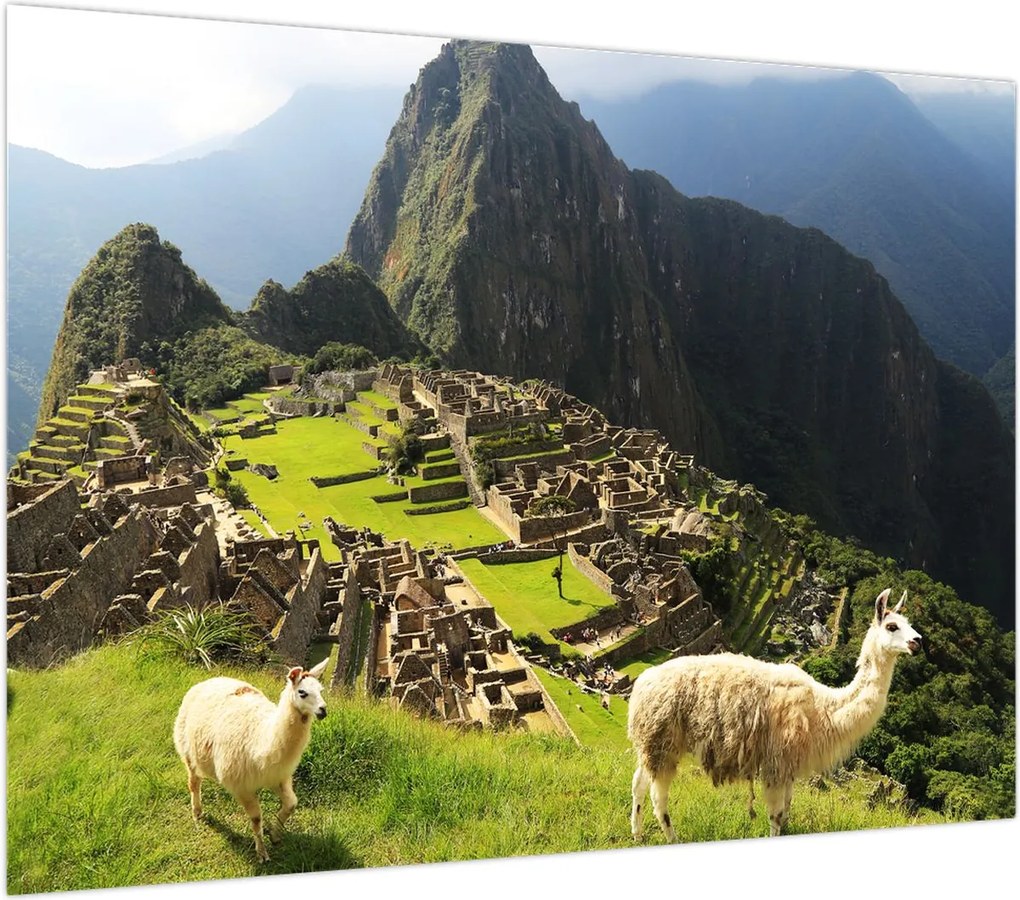 Obraz - Machu Picchu (70x50 cm)