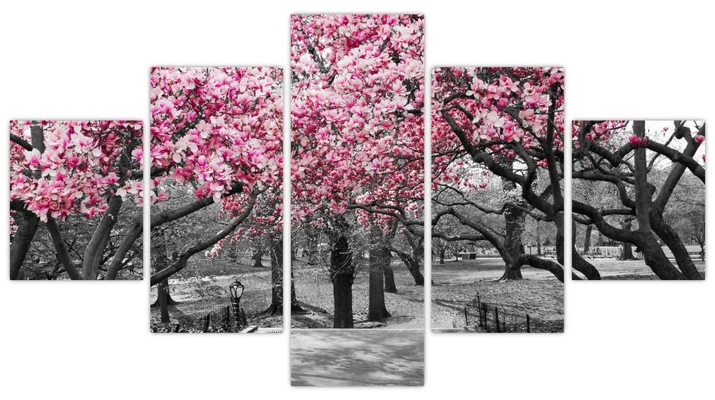 Obraz drzew magnolii (125x70 cm)