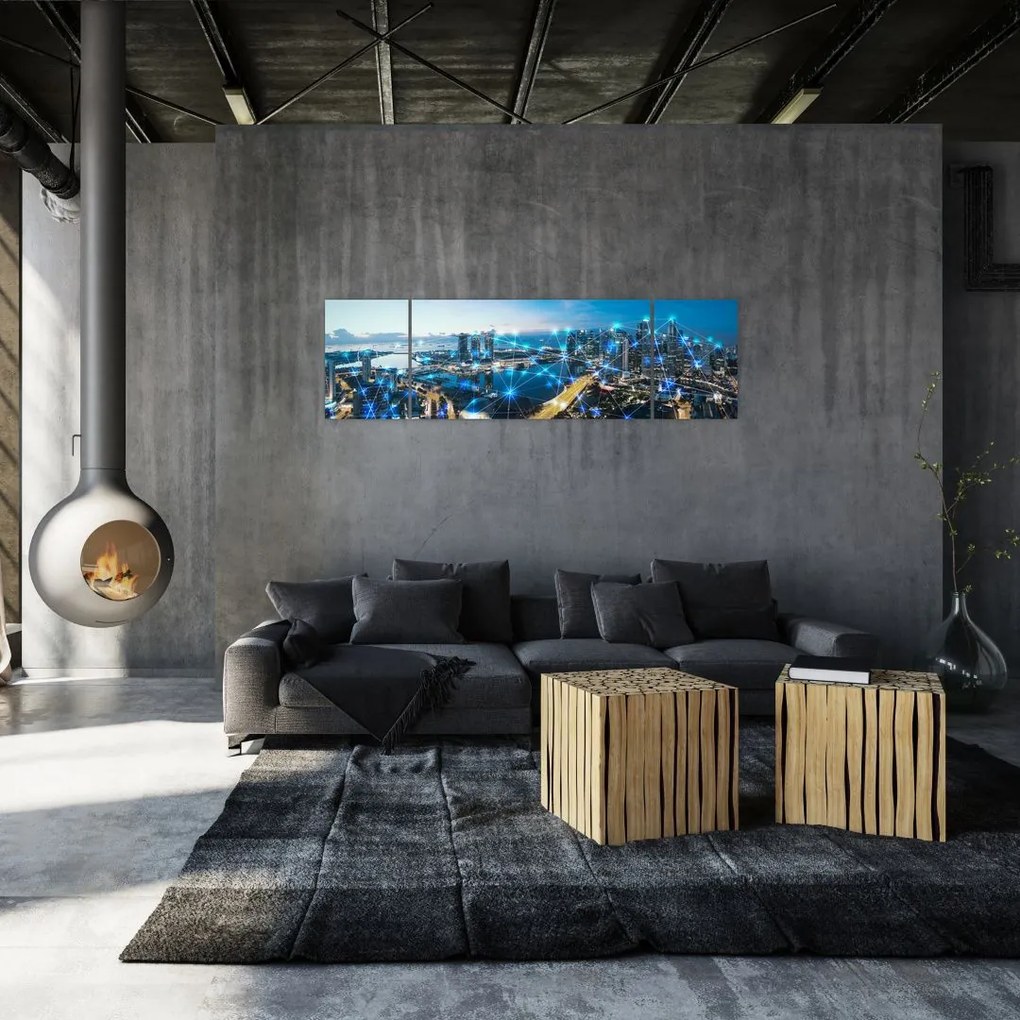 Obraz - Sieć miejska (170x50 cm)