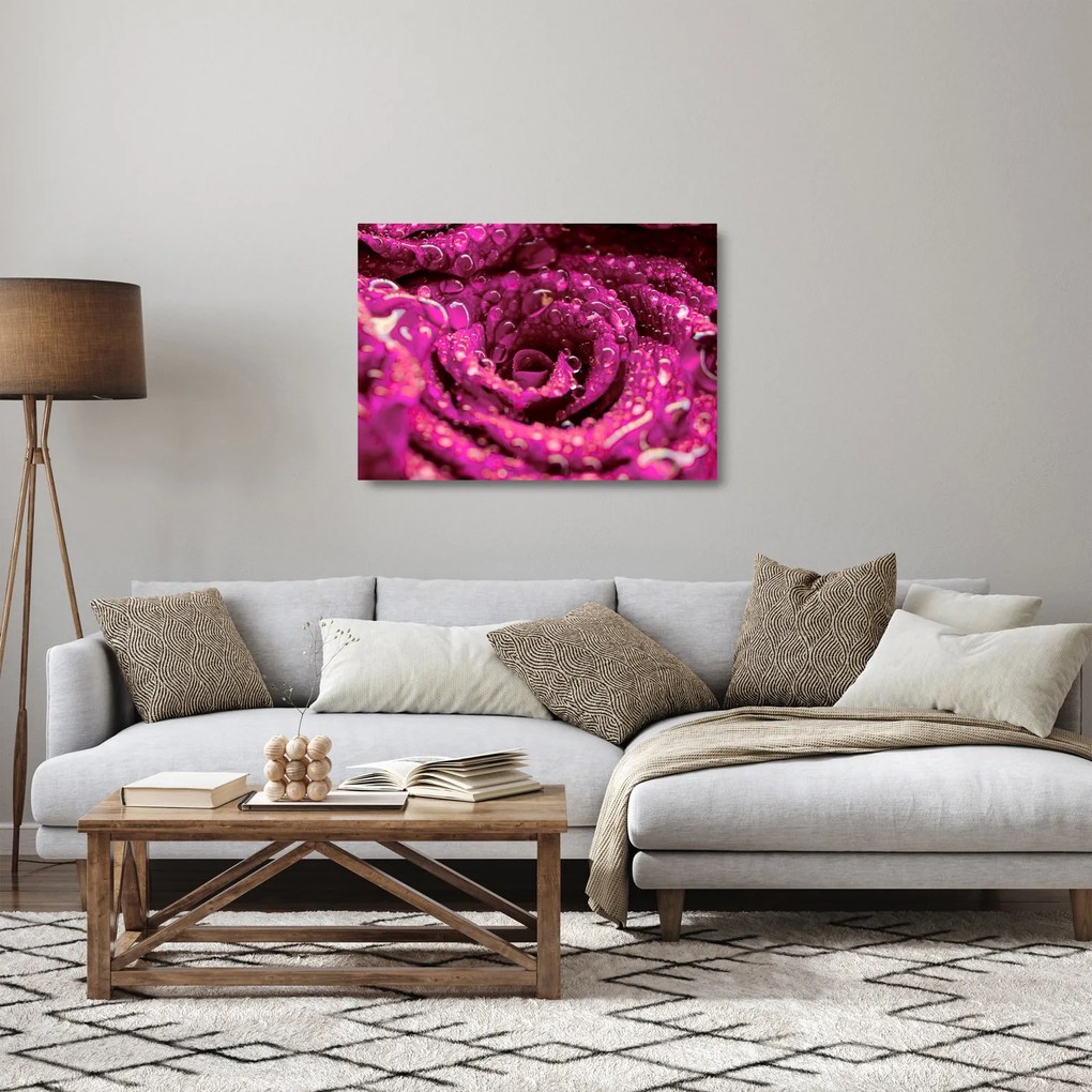 Obraz na szkle - różowy kwiat róży (70x50 cm)