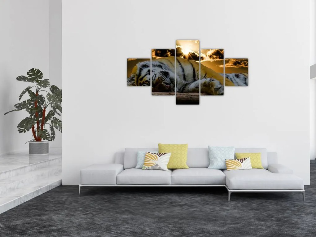 Obraz śpiącego tygrysa (125x70 cm)