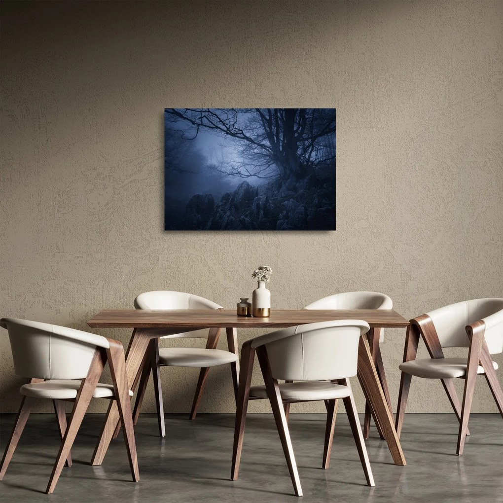 Obraz na szkle ciemnego lasu (70x50 cm)