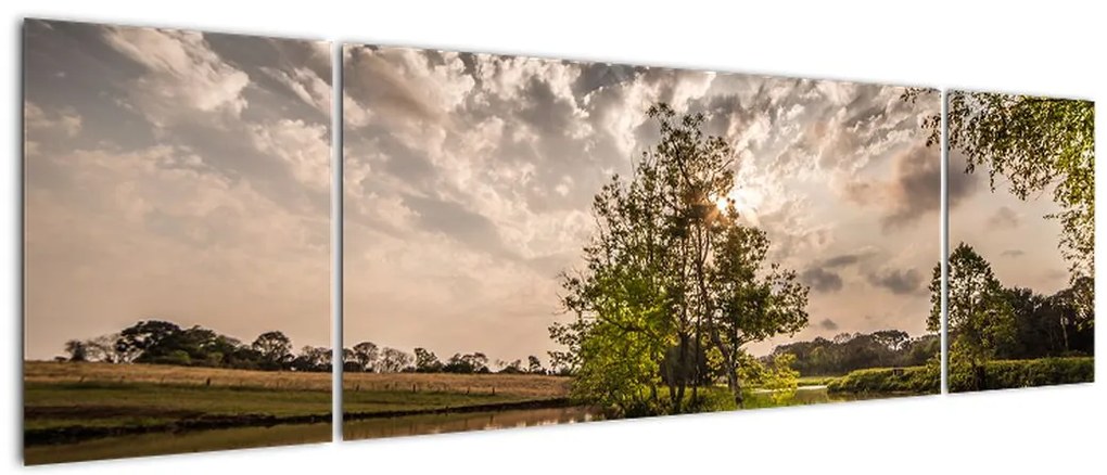 Obraz natury z promieniami (170x50 cm)