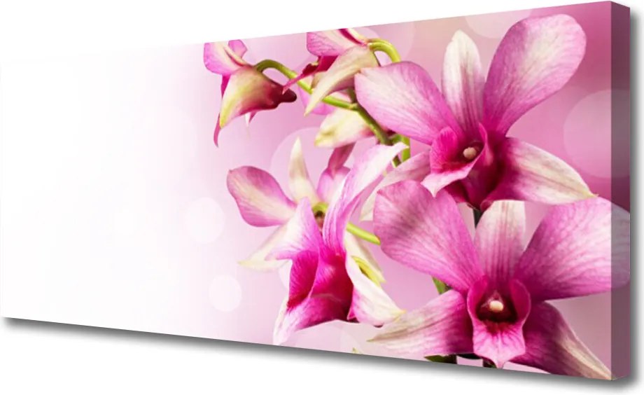 Obraz canvas Wiosenna Świeżość Kwiatów