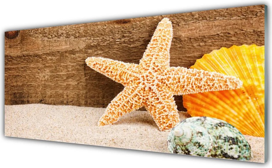 Szkło Dekoracyjne do Kuchni Skarby Morza Na Piasku