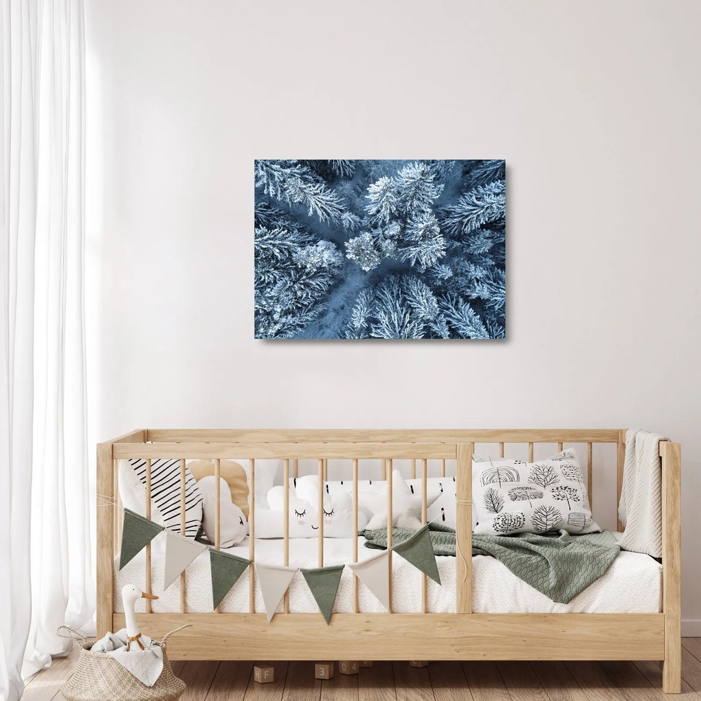 Obraz na szkle - Śnieżny las (70x50 cm)
