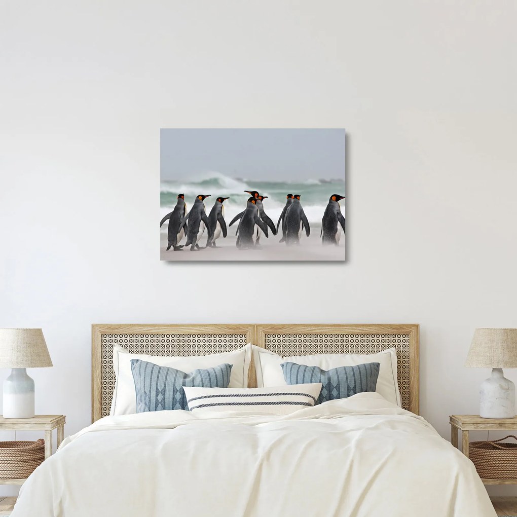 Obraz na szkle pingwinów nad oceanem (70x50 cm)