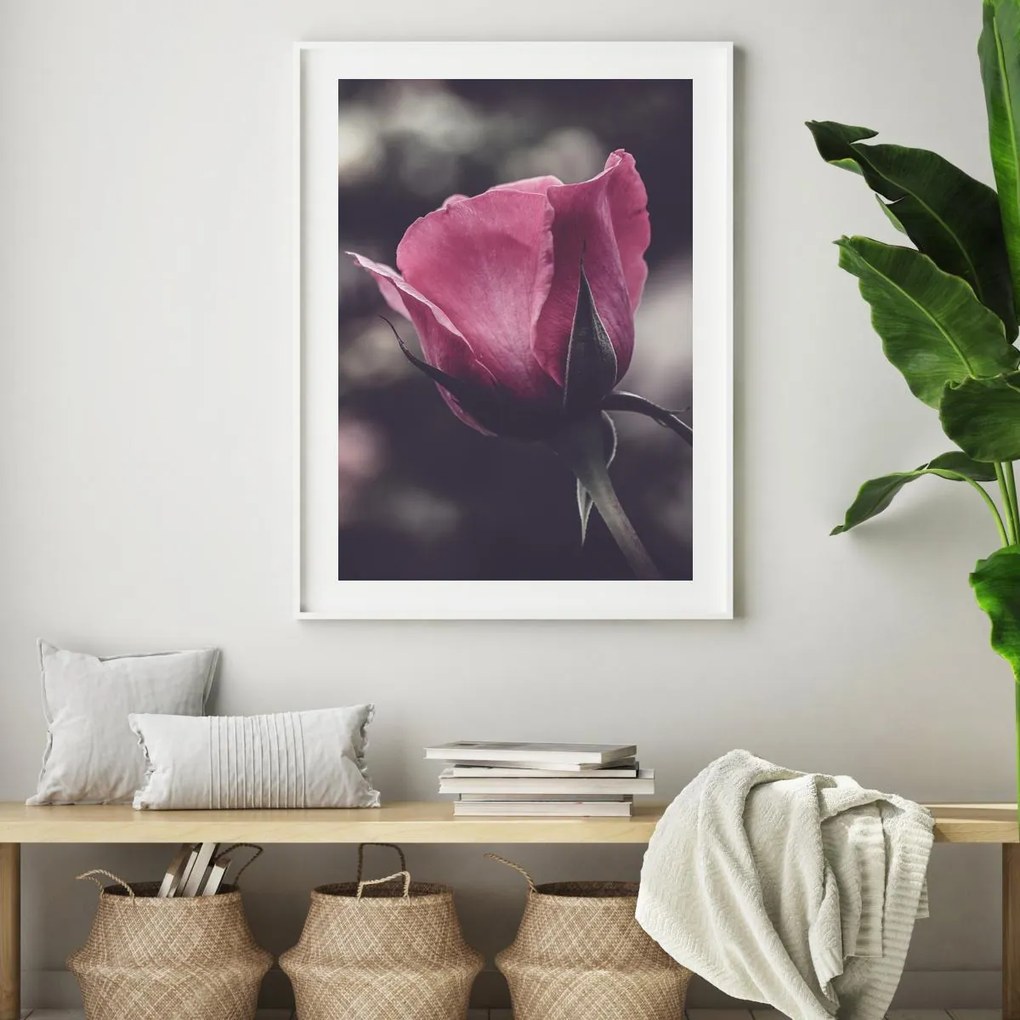 Plakat - Kwiat róży (A4)