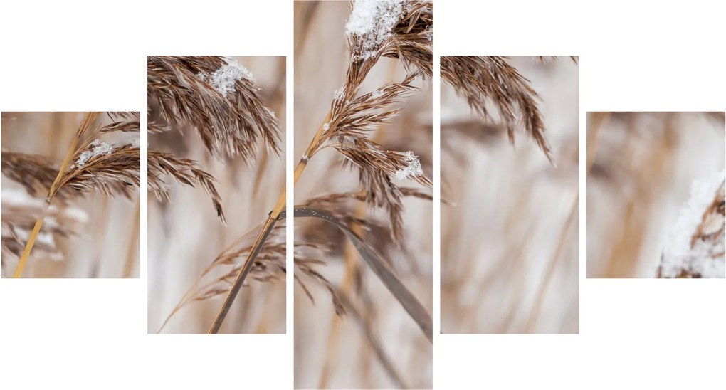 Obraz - Lipnice (125x70 cm)