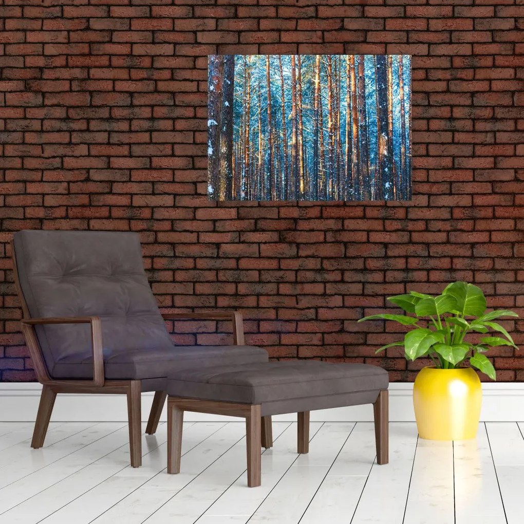 Obraz na szkle - Zimowy las (70x50 cm)