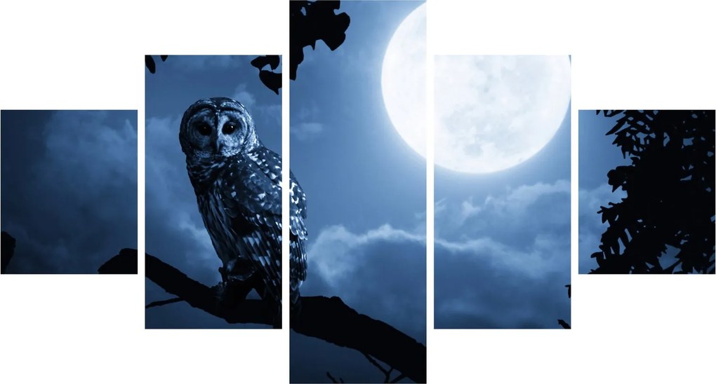 Obraz - Nocna Sowa (125x70 cm)