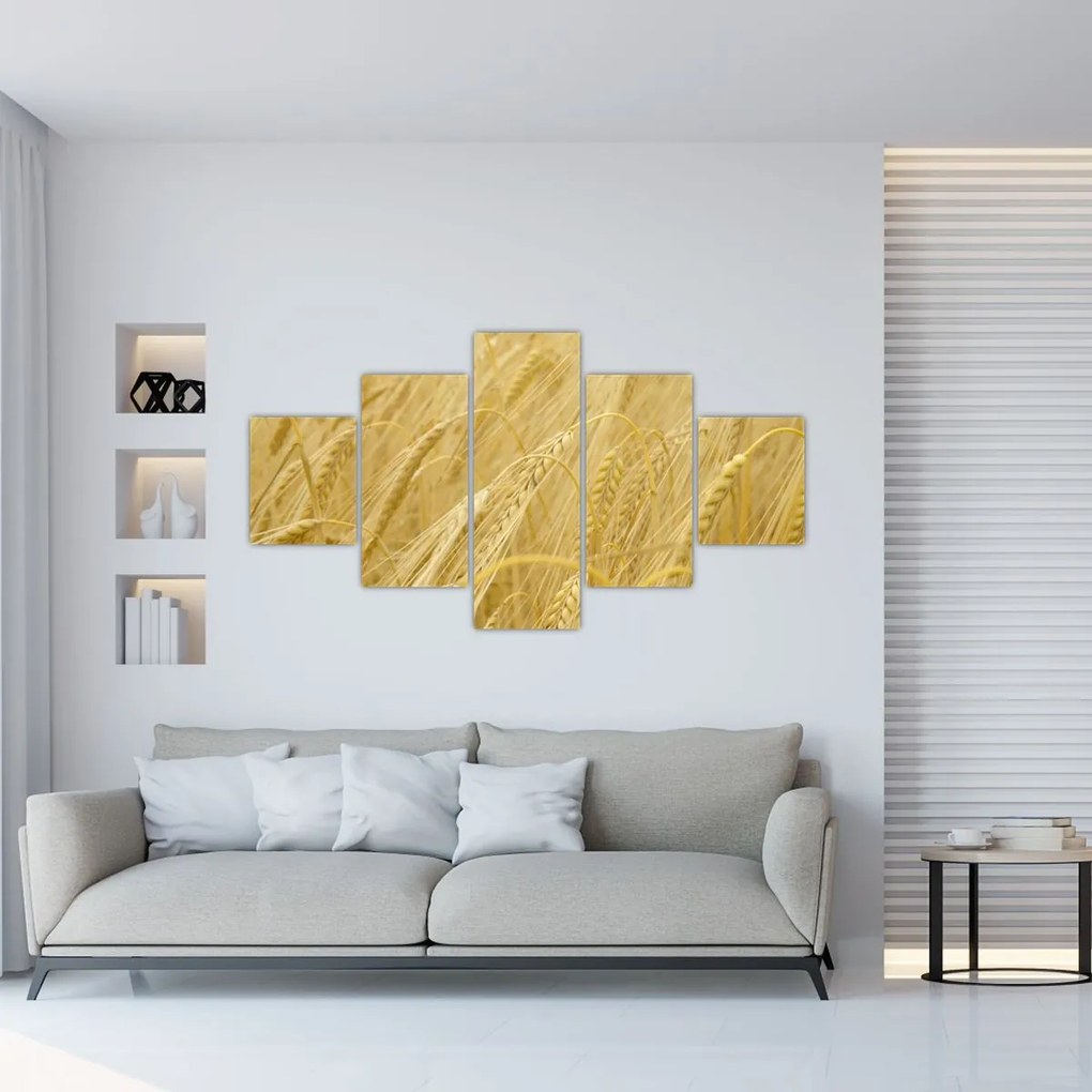 Obraz - Jęczmień (125x70 cm)