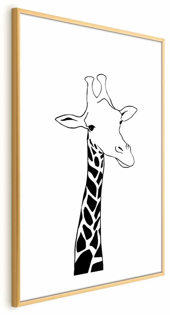 Plakat Kraciasta szyja 40x60 cm z ramą złotą z marginesem ARTGEIST B