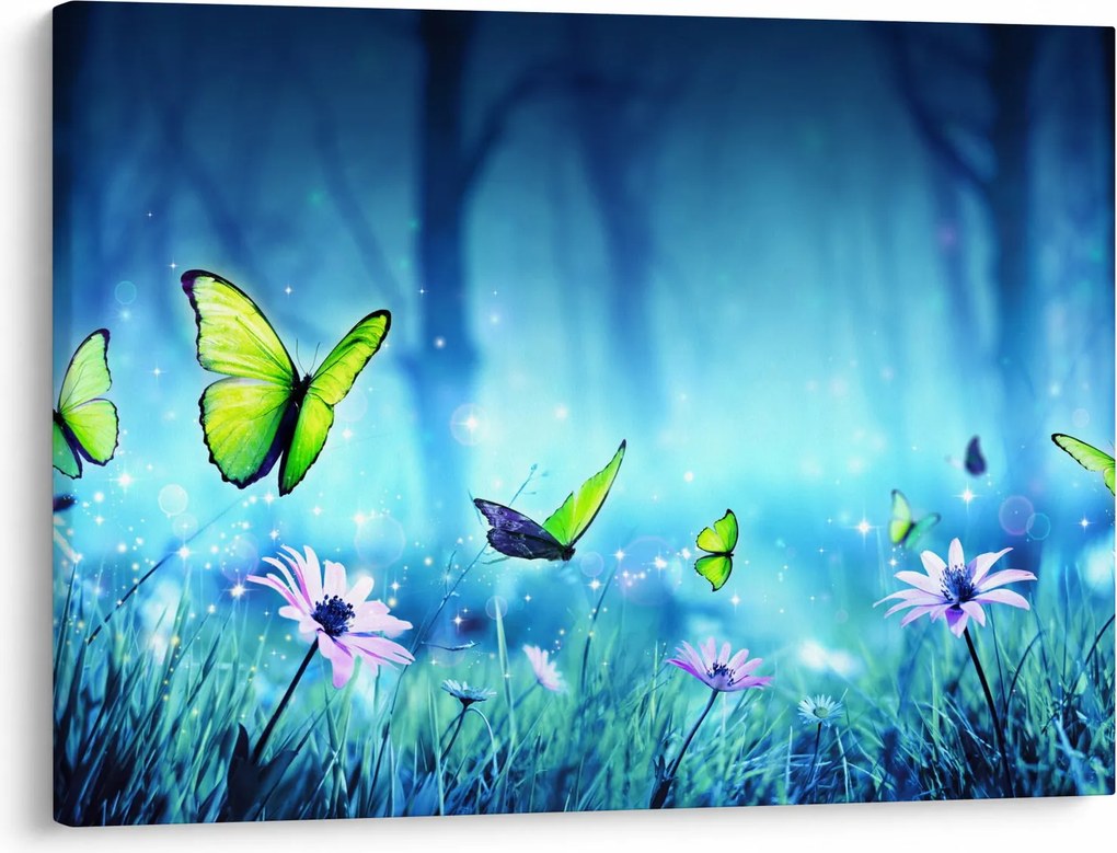 Obraz - Mistyczna leśna polana (70x50 cm)