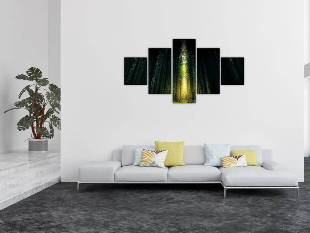 Obraz ciemnego lasu (125x70 cm)