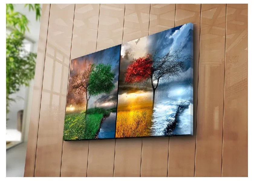 Obraz na płótnie Seasons, 70x45 cm