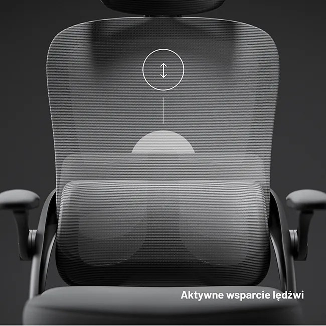 Fotel biurowy, ergonomiczny Diablo V-Light, szary