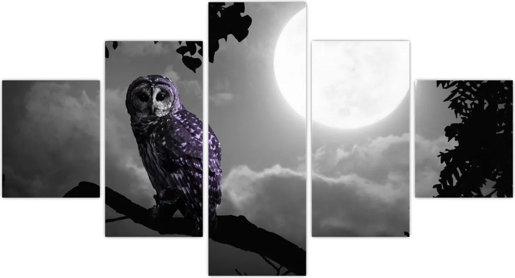 Obraz - Nocna sowa, fioletowa sowa (125x70 cm)