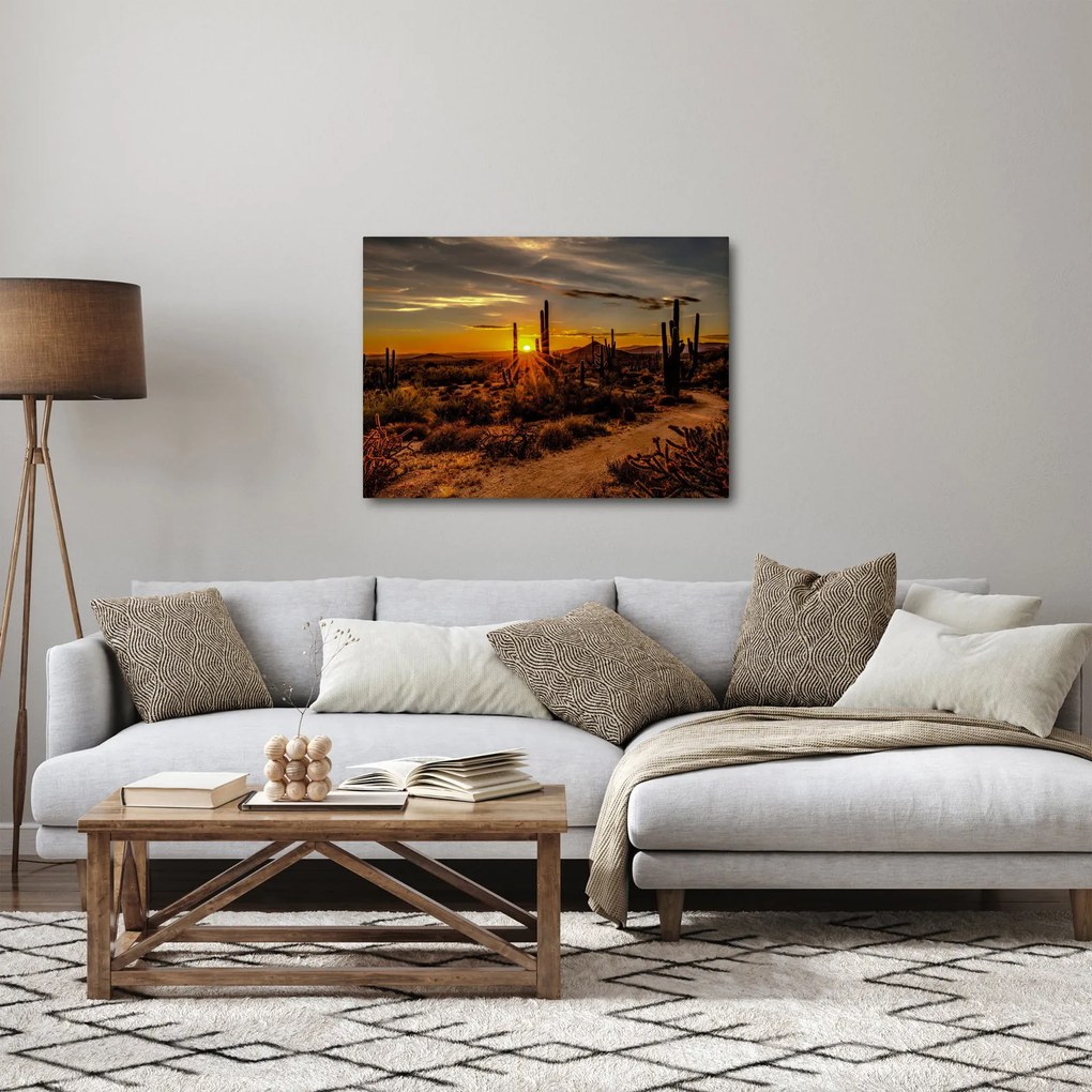 Obraz - Koniec dnia na pustyni w Arizonie (70x50 cm)