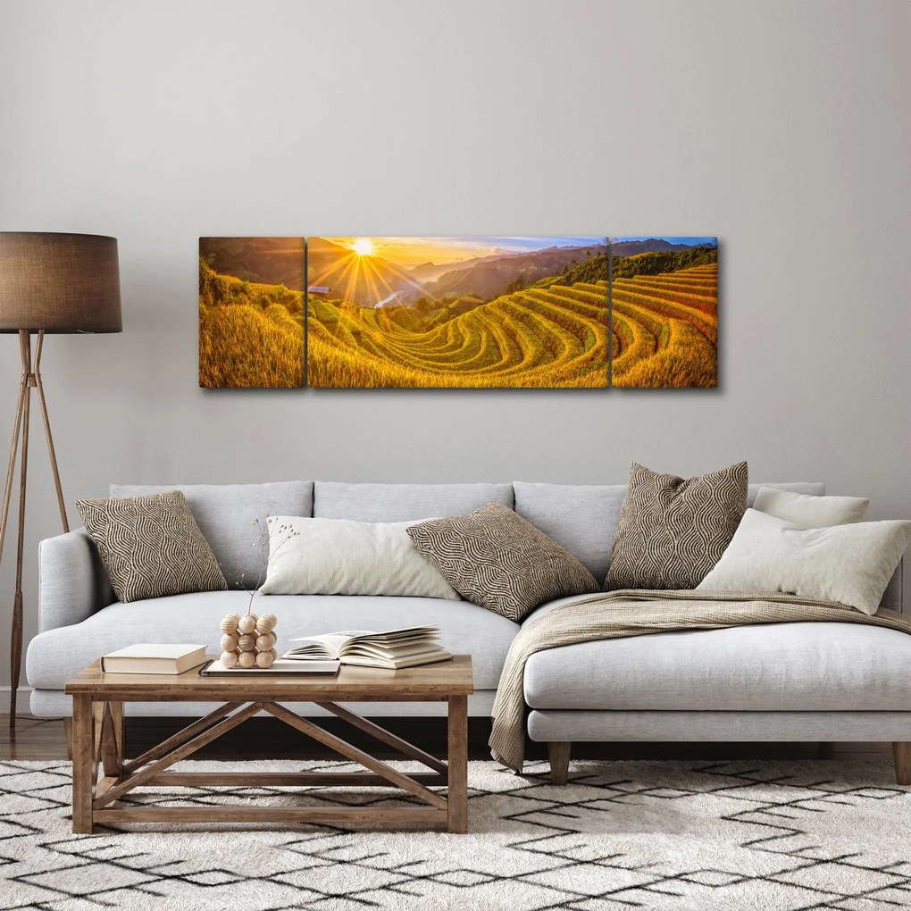 Obraz - Pole ryżowe w Wietnamie (170x50 cm)