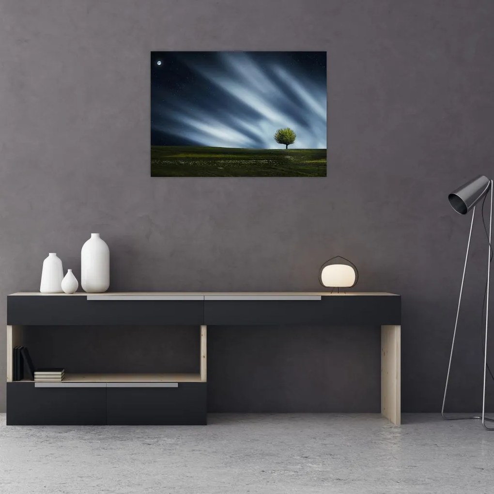 Obraz zorzy polarnej nad wrzosowiskami (70x50 cm)