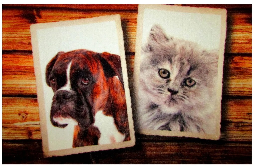 Wycieraczka Deco Star Album 40 cm x 60 cm