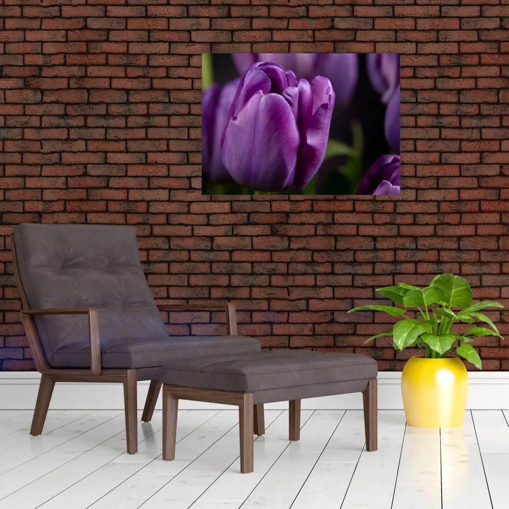 Obraz na szkle - kwiaty tulipanów (70x50 cm)