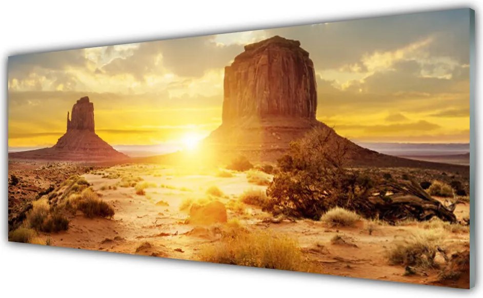 Szkło do Kuchni na Ścianę Pustynny Blask Słońca