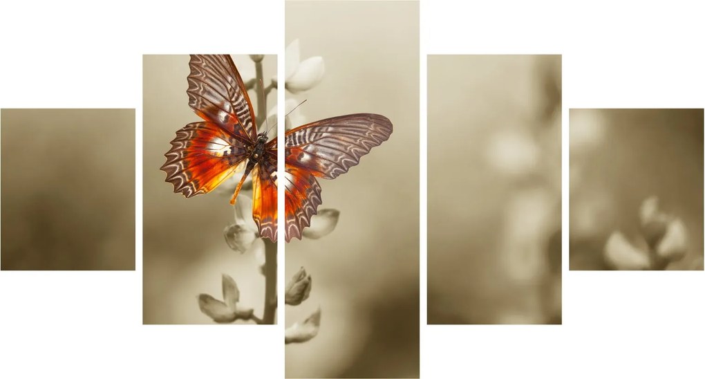 Obraz motyla (125x70 cm)