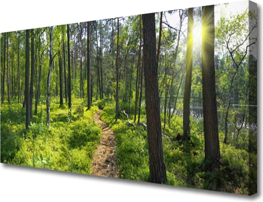 Obraz canvas Droga przez Dziki Las