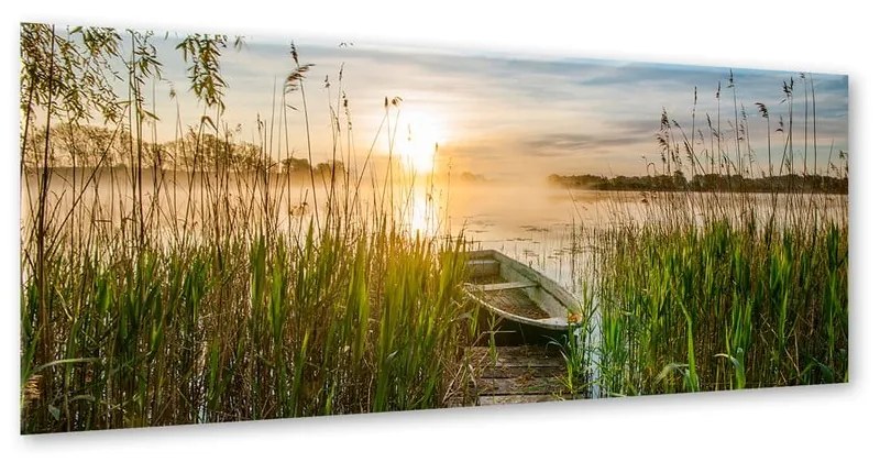 Obraz Styler Boat In The Grass, 125x50 cm