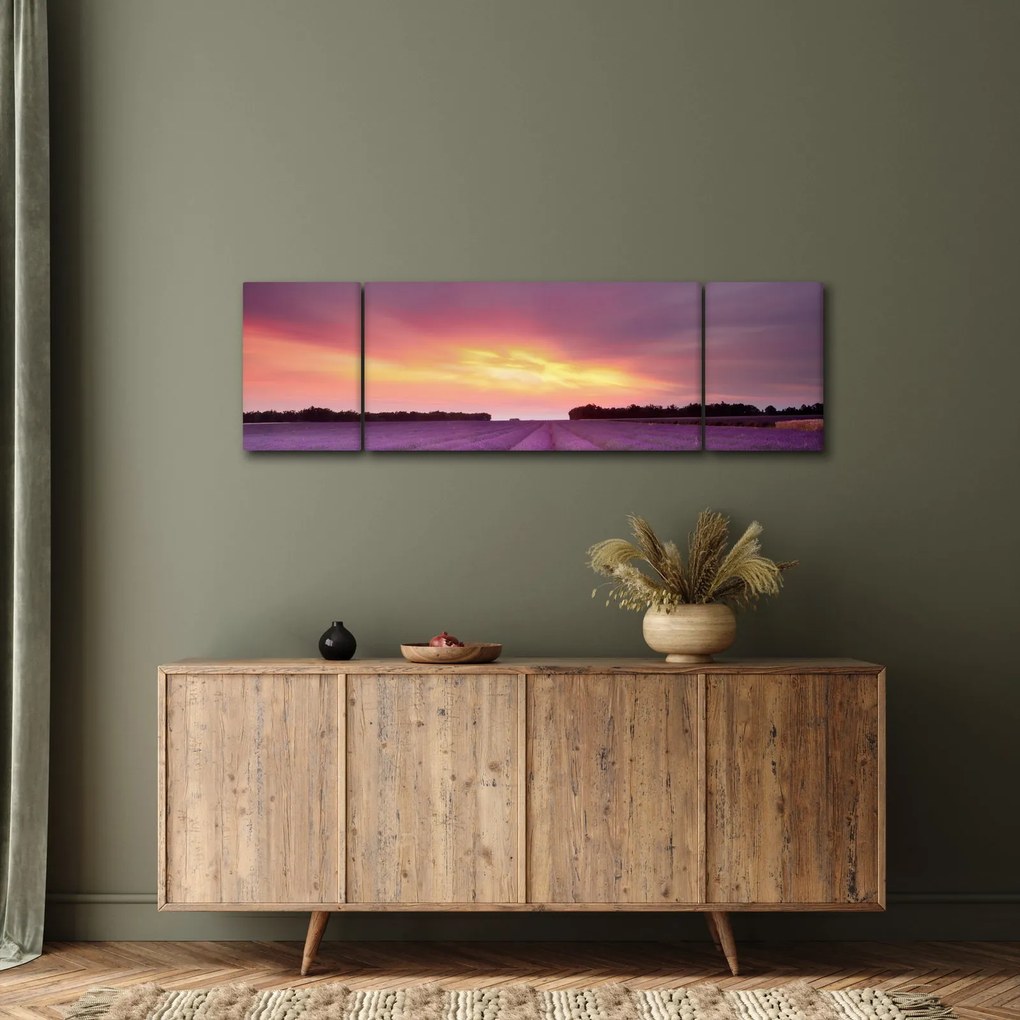 Obraz - Pole lawendy (170x50 cm)