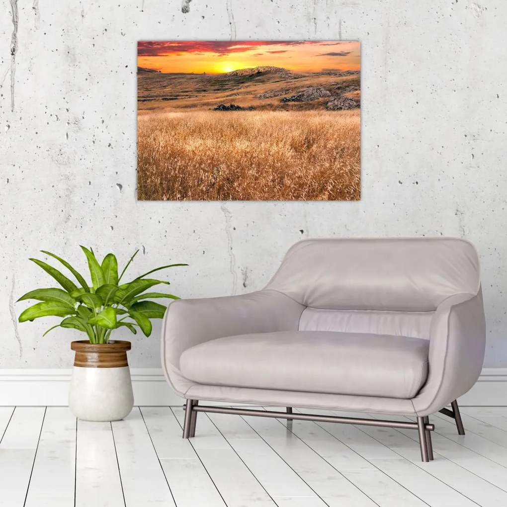 Obraz na szkle - pole (70x50 cm)